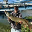 @gian.fishing