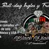 malandrodiamond
