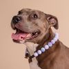 calypso.the.pit