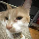 @elliot.981