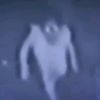 zhauntedlyfe