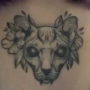 @hollz_drawz