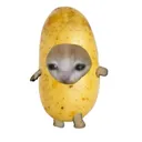 @1.spudster
