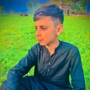 @warraich426