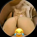 @c238520