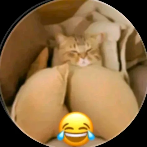 c238520