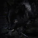 @wulfsclaws