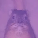 @charliebarkley
