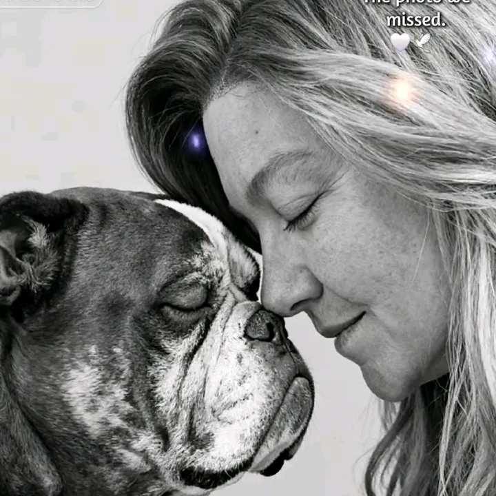 @shawnie826