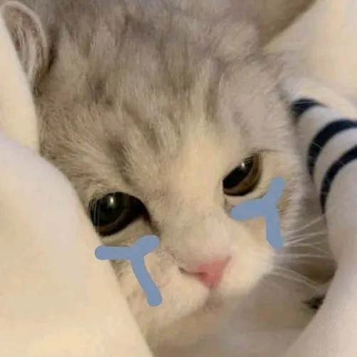 acsghedsdghijkh
