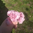 @lucyxoxo_567