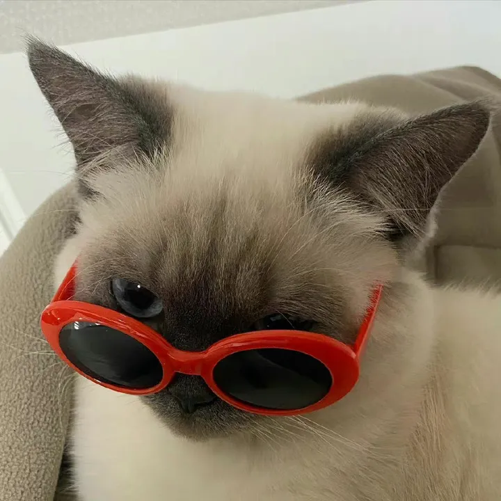 @siam.spill