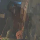 @qt.zay14