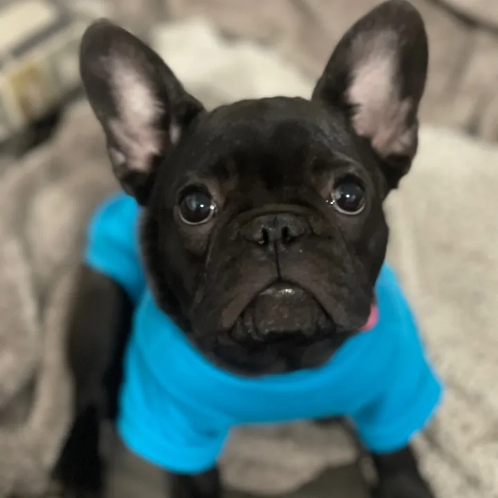 @minniecantalk
