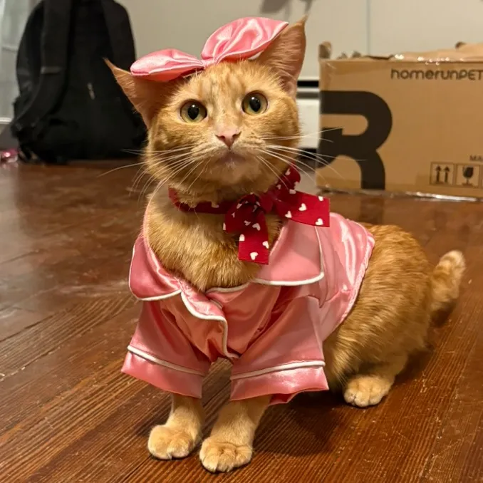 roxiemiauwmiauw