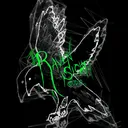 @ravensightstudio