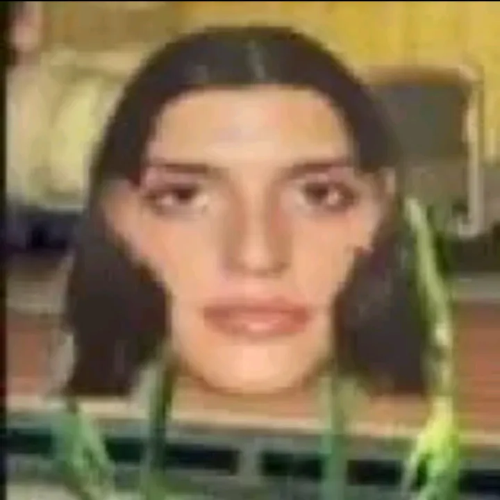 elnoviodearca