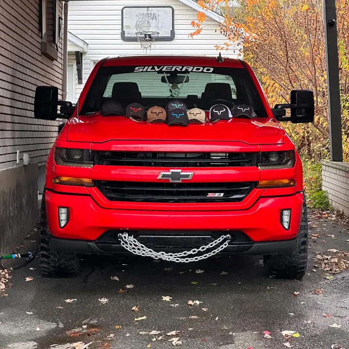 @boosted_sam
