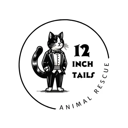 12inchtails