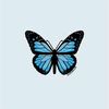 bluee_flyy