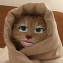 @jbenitaq