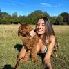 dogbitesdaily