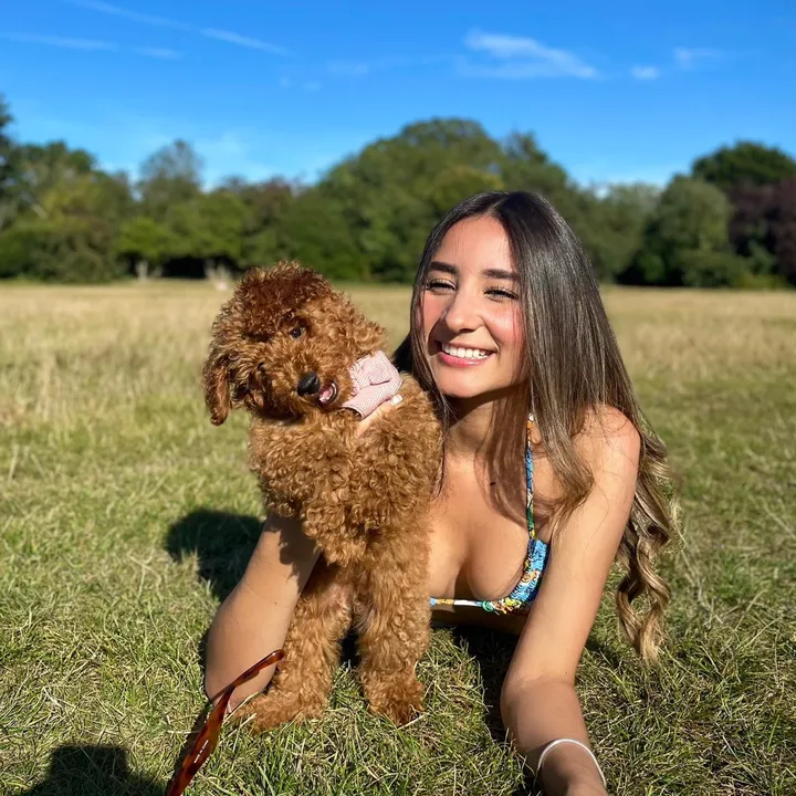 dogbitesdaily