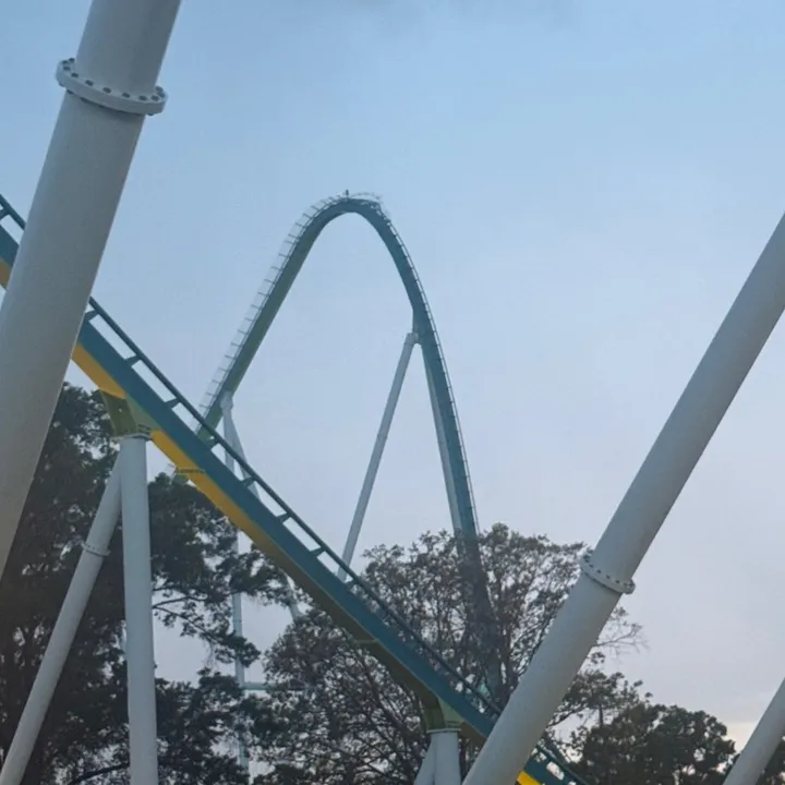 @smthboutrollercoasters