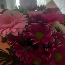 @gurbetci1461