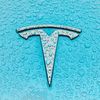 tesla.facts