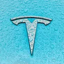 @tesla.facts