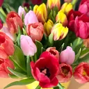 @bessa09586