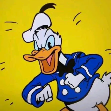 donaldducc1980