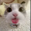 @xxxdeert.i