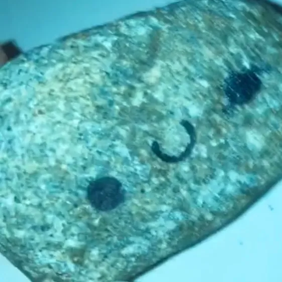noah_therock