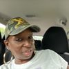 msvibeallday