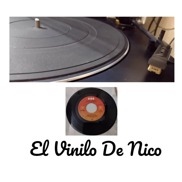 elvinilodenico78