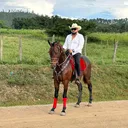 @josesierra332