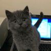 sandy_reacts