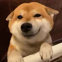 @syedshuey