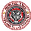 angelsblacktiger