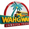 wahgwanjamaica_tours