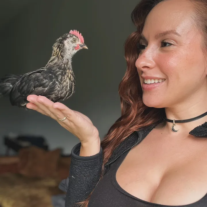 flock_to_the_hand_farm