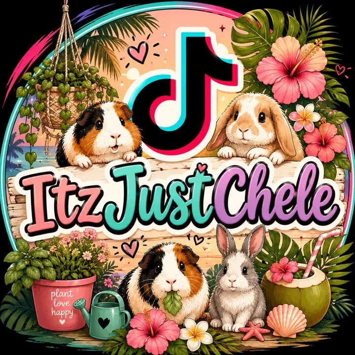 @itzjustchele