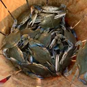 @aaronzzoutdoorlife