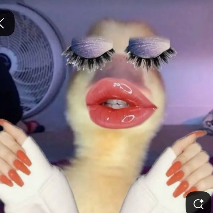 @randomlyclipzzz