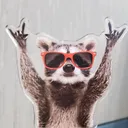 @getoverit62