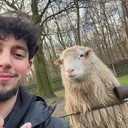 @einfachmikail95