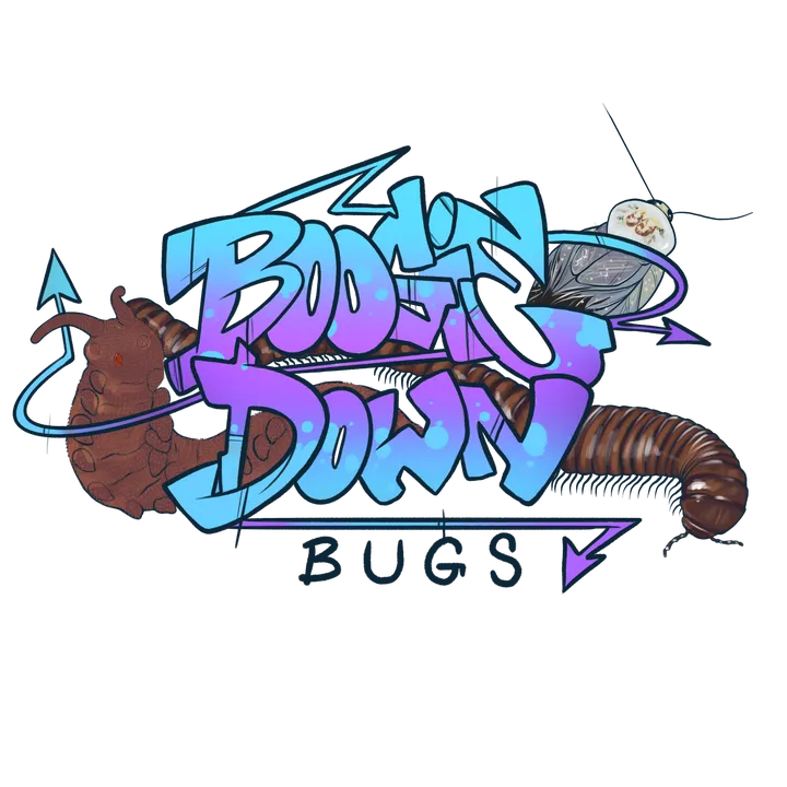 boogiedownbugs