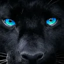 @t.a.n.c.e.r.k.a_99